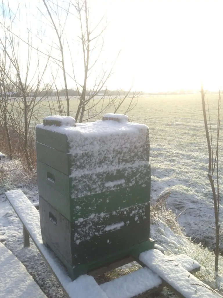 Bijenkast met sneeuw