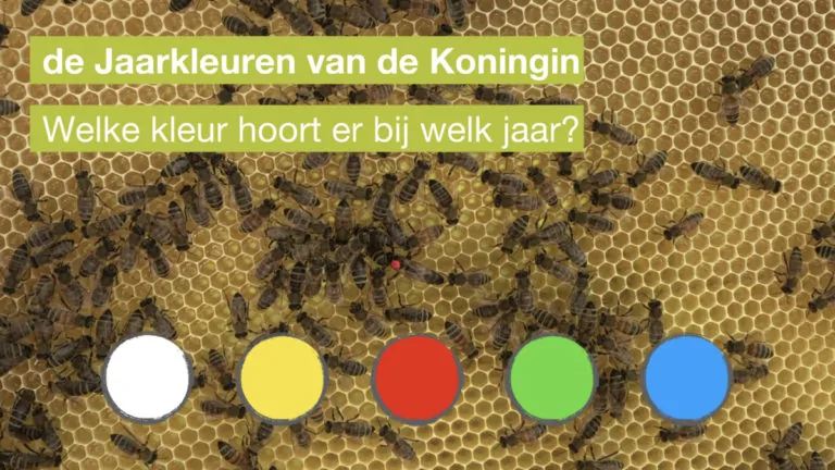 internationale jaarkleuren van de bijenkoningin